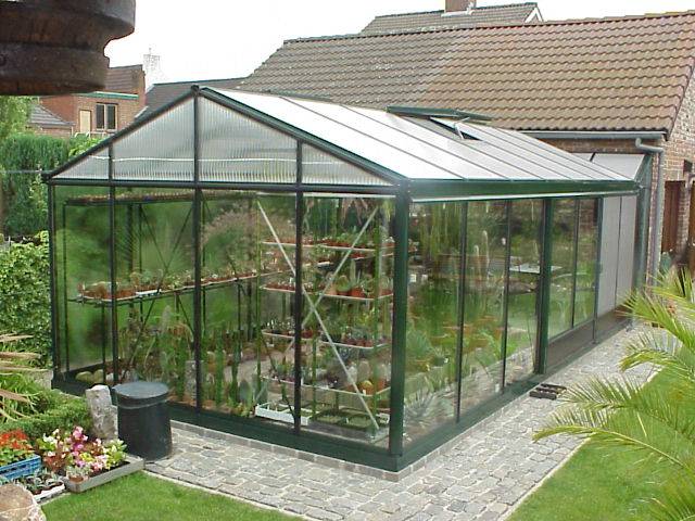Tropic Plus