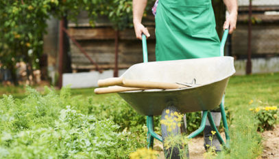 Spring-proof kitchen gardening